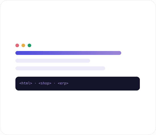 I primi progetti web e gestionali costruiti dal team